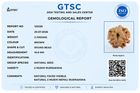 2 Mukhi Rudraksha (Do Mukhi) - Natural Nepali | Lab Certified