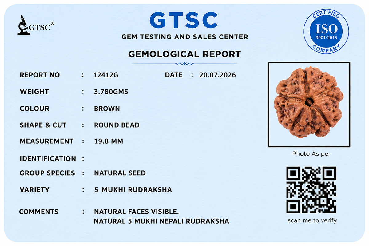 5 Mukhi Rudraksha (Panch Mukhi) - Natural Nepali | Lab Certified