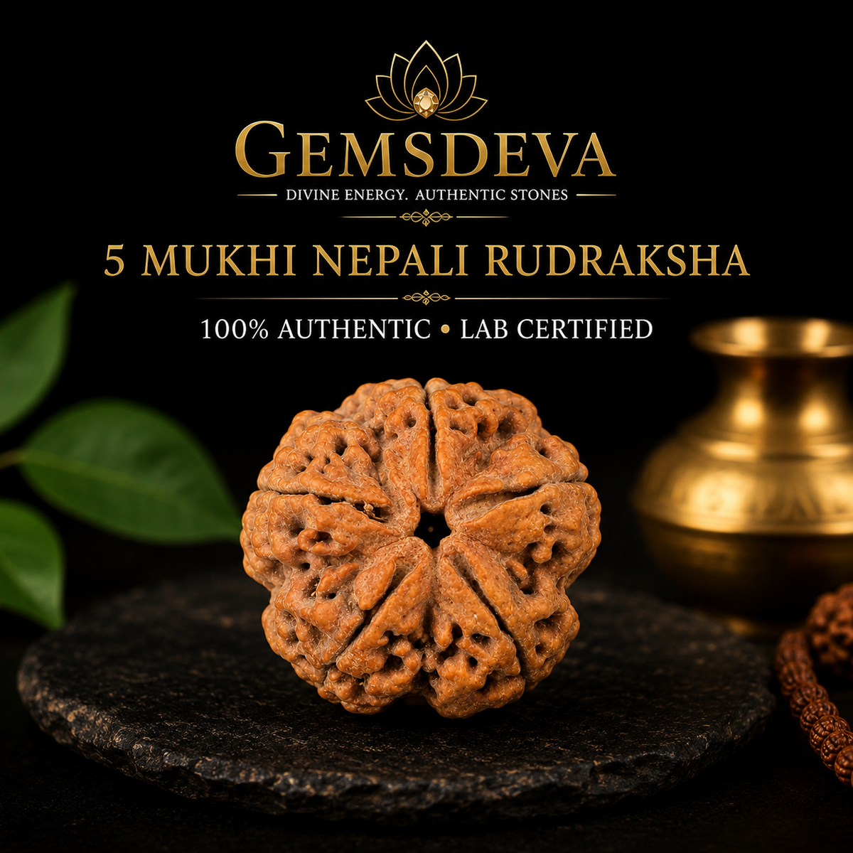 5 Mukhi Rudraksha (Panch Mukhi) - Natural Nepali | Lab Certified