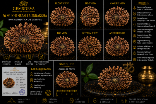 20 Mukhi Rudraksha (Bees Mukhi) – Natural Nepali
