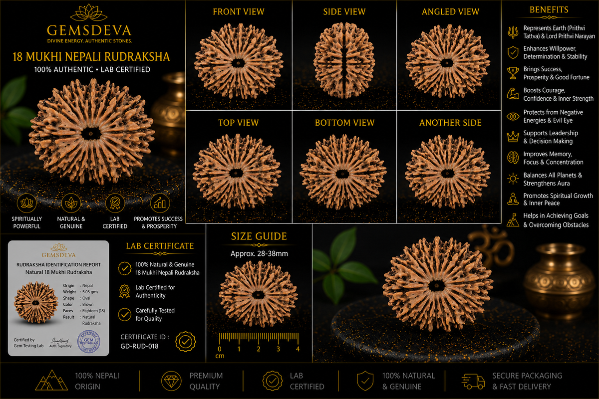 18 Mukhi Rudraksha (Atharah Mukhi) – Natural Nepali
