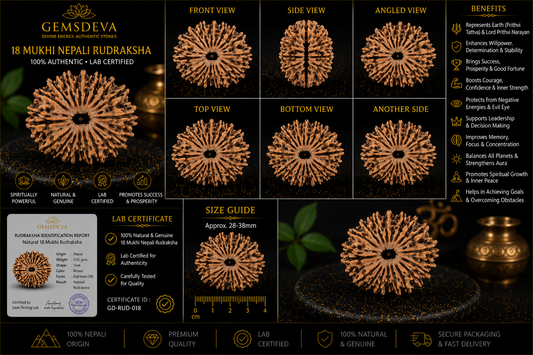 18 Mukhi Rudraksha (Atharah Mukhi) – Natural Nepali