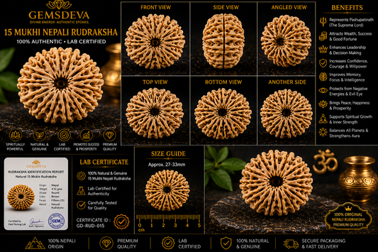 15 Mukhi Rudraksha (Pandrah Mukhi) – Natural Nepali
