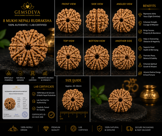8 Mukhi Rudraksha (Aath Mukhi) – Natural Nepali