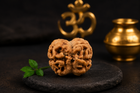 2 Mukhi Rudraksha (Do Mukhi) - Natural Nepali | Lab Certified