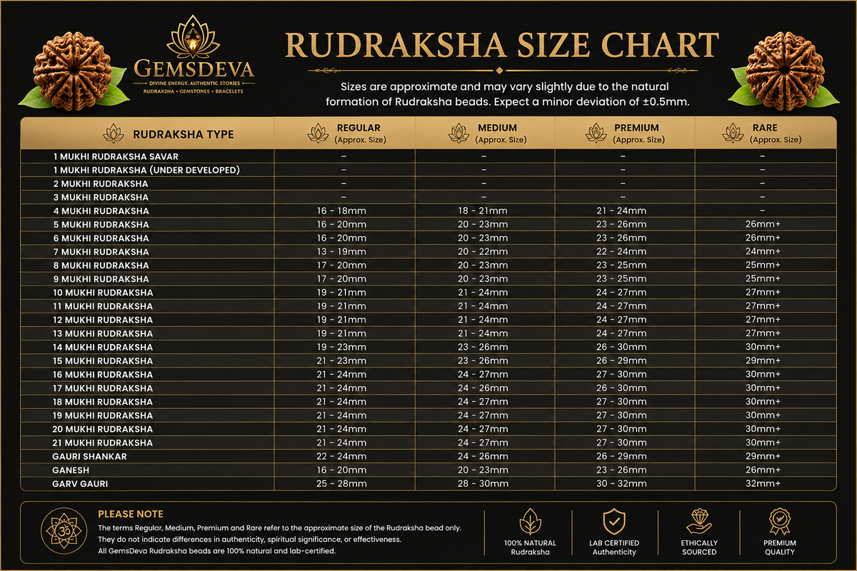 Gemsdeva Rudraksha size guide