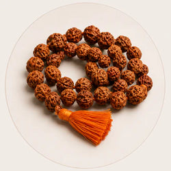 RUDRAKSHA